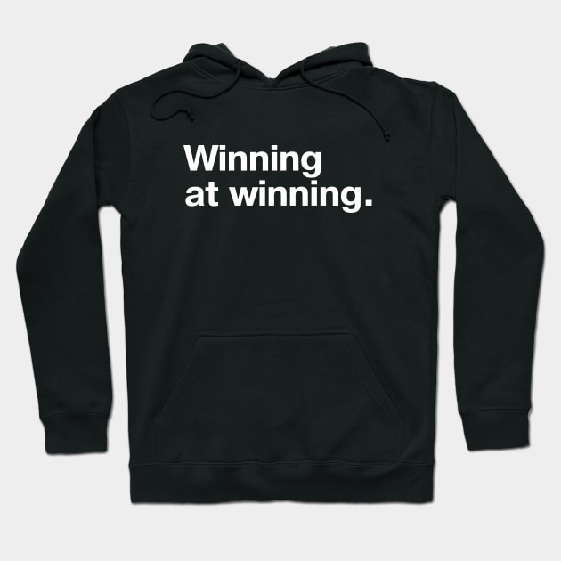 Winning at winning. Hoodie by TheBestWords